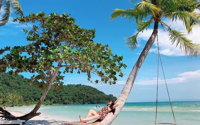 Tại sao cây dừa ở Phú Quốc đổ nghiêng ngả?