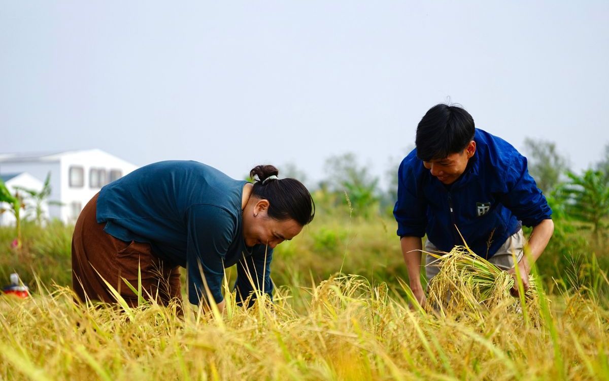 Không chỉ giải trí, Gen Z muốn đi du lịch để sống “sâu sắc” hơn